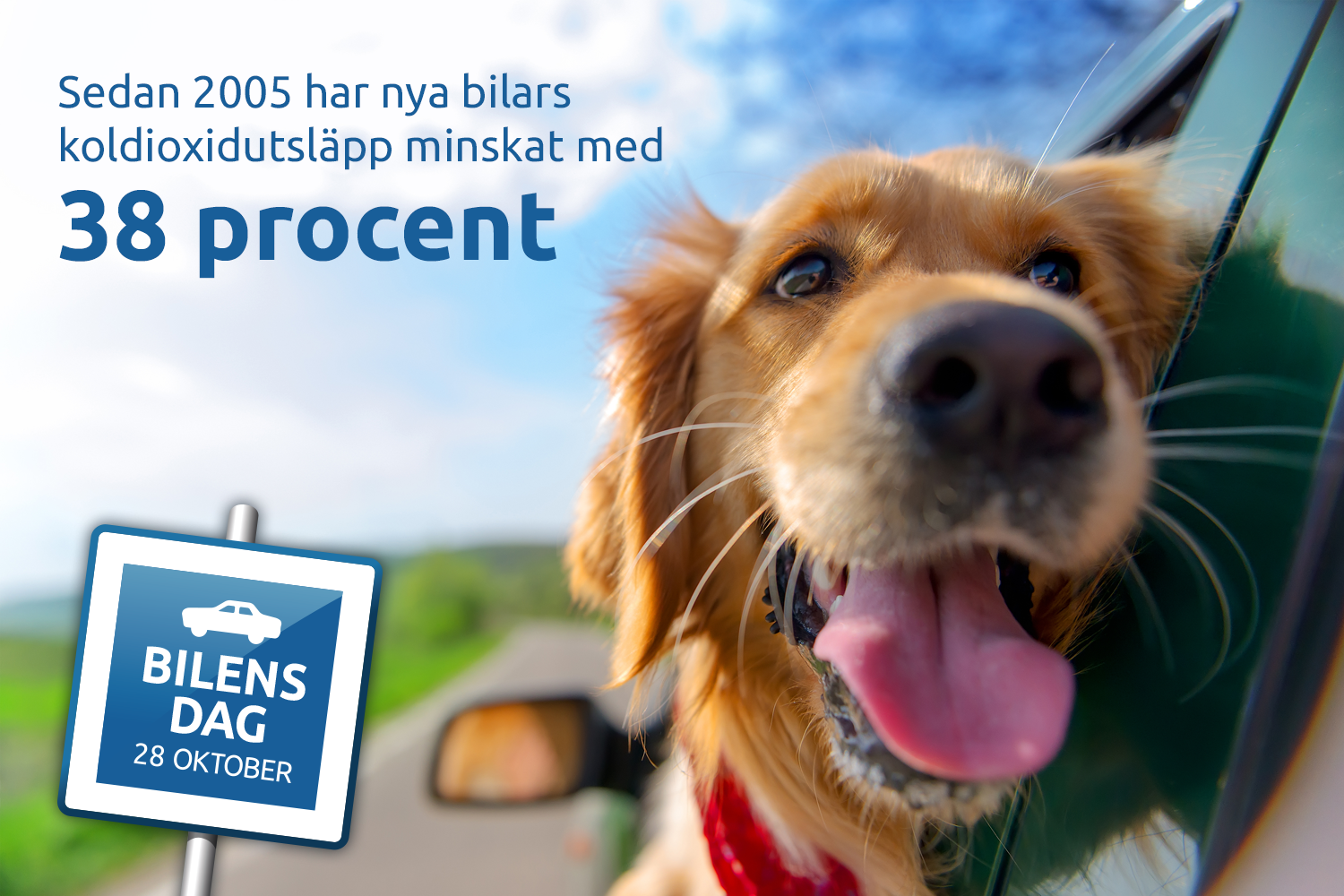 Koldioxidutsläppen från ny bilar har minskat med 38 procent