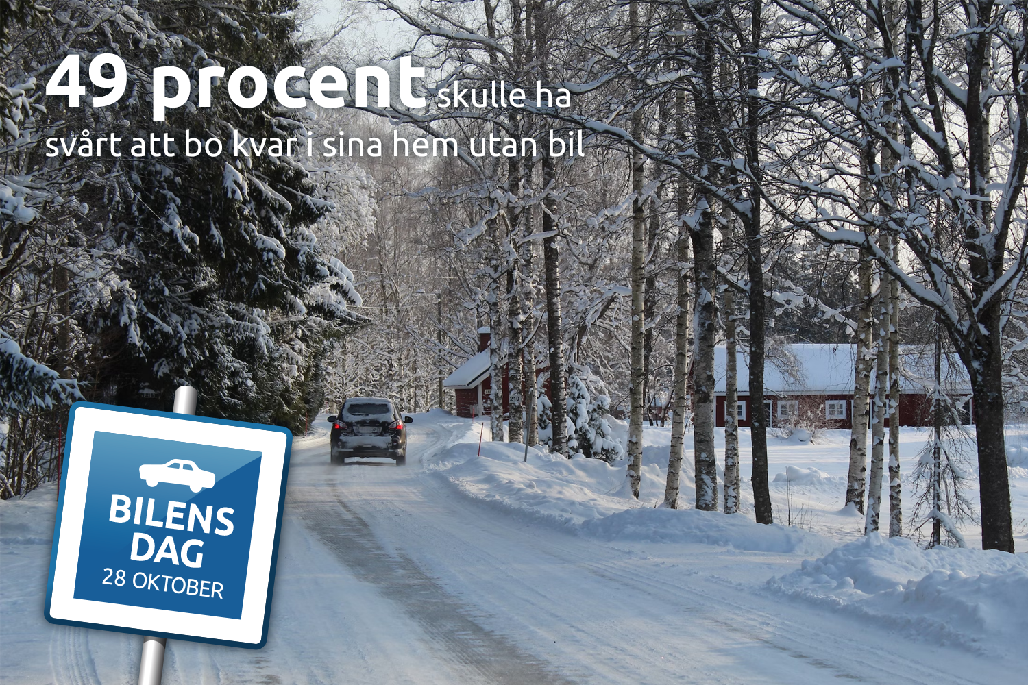 Hälften skulle ha svårt att bo kvar hemma utan bil