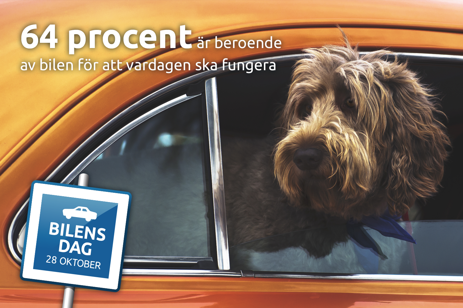 Visste du att hälften av svenskarna skulle ha svårt att bo kvar utan bilen?